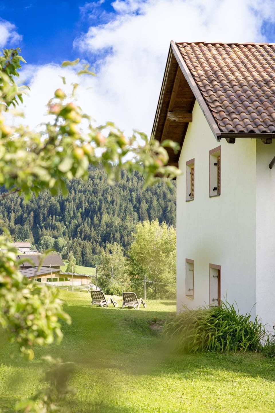 Property building, Garden, Garden view