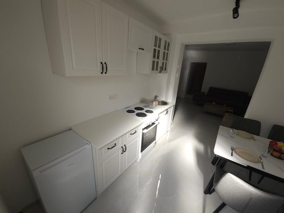 Kitchen or kitchenette, minibar, stove