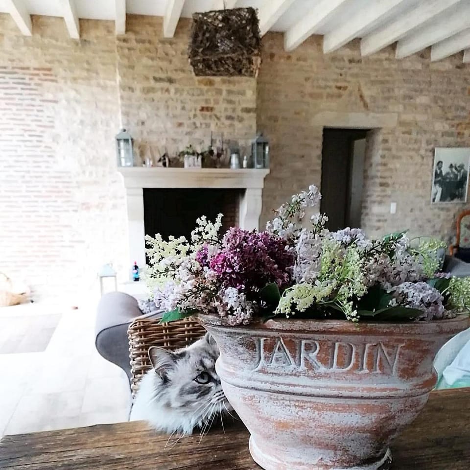 fireplace