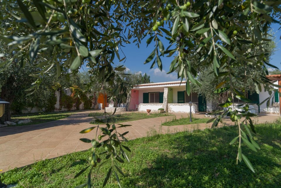 Property building, Garden, Garden view
