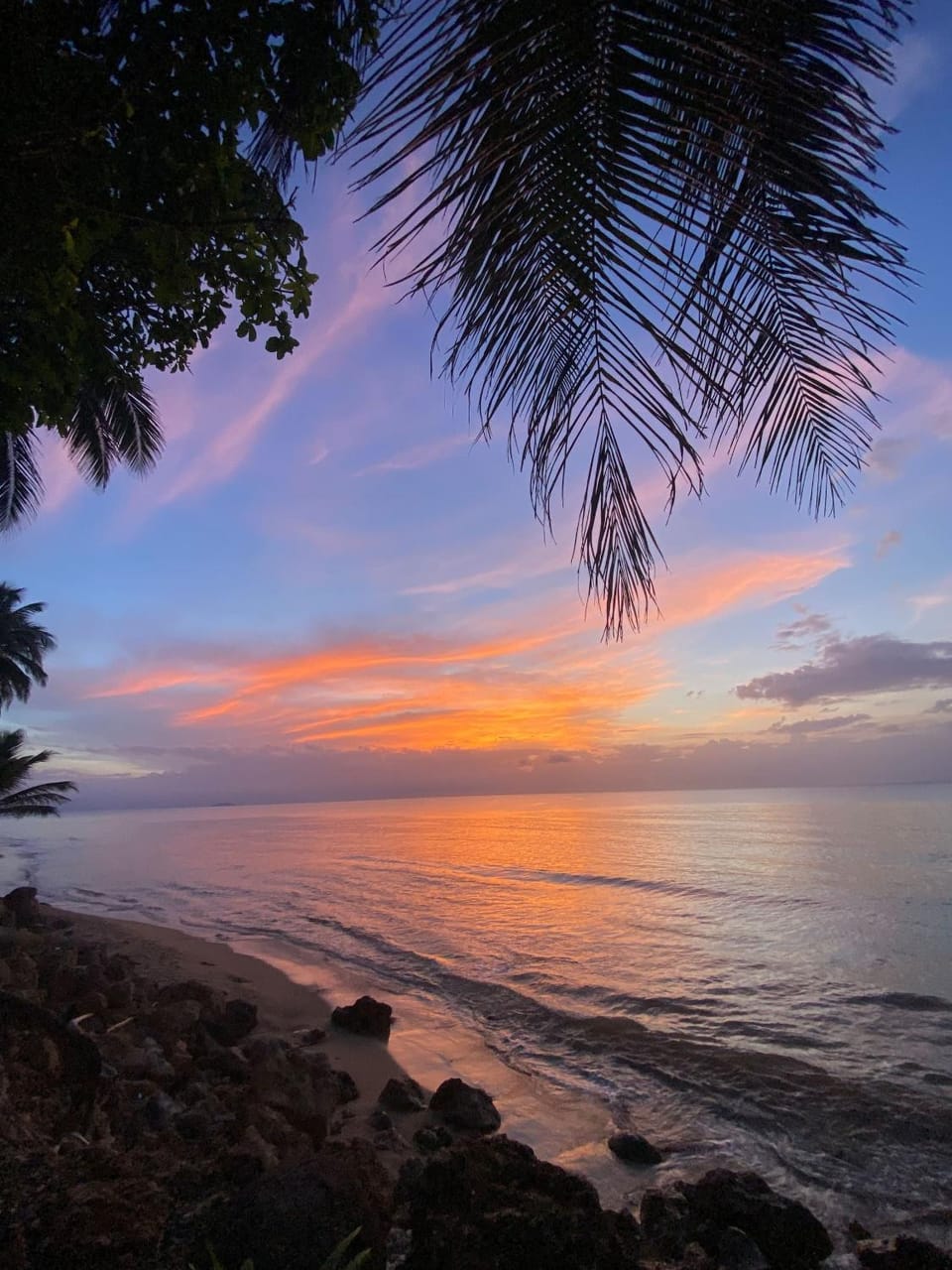 Natural landscape, Summer, Beach, Sunset