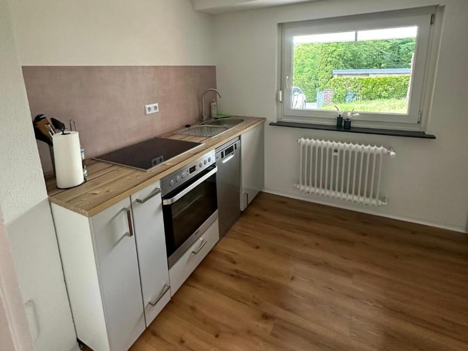 Kitchen or kitchenette, dishwasher, stove