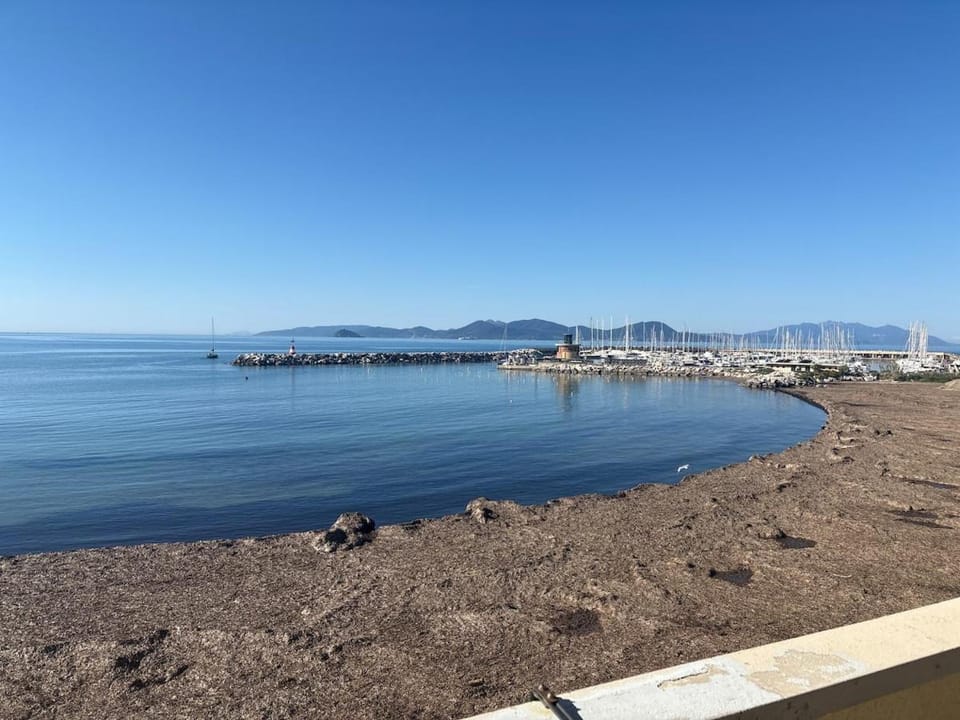 Sea view