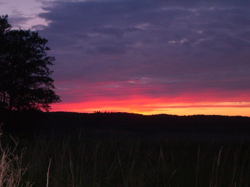 Natural landscape