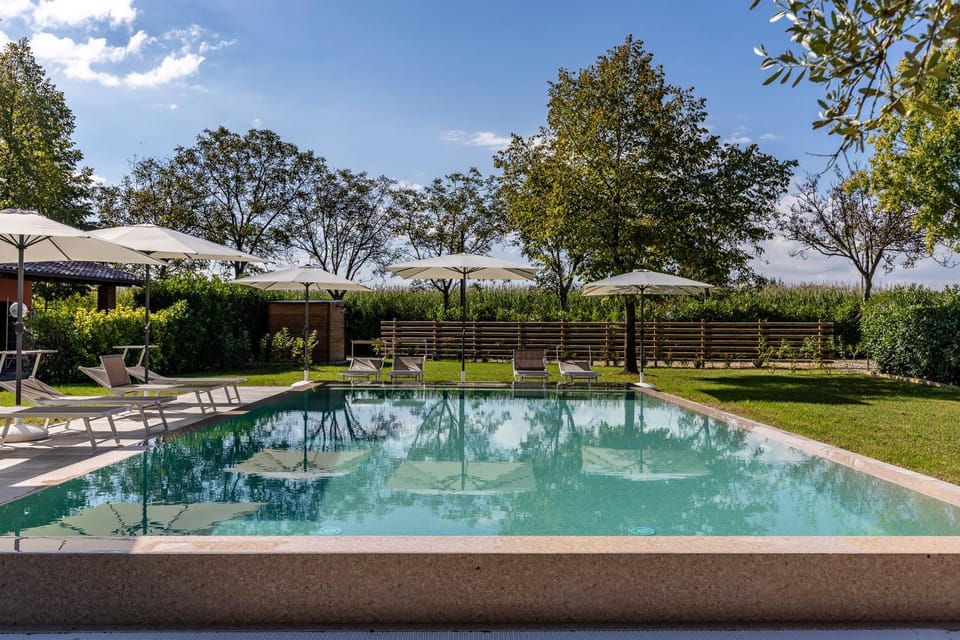 Patio, Spring, Day, Garden, Garden view, Pool view, Swimming pool, sunbed