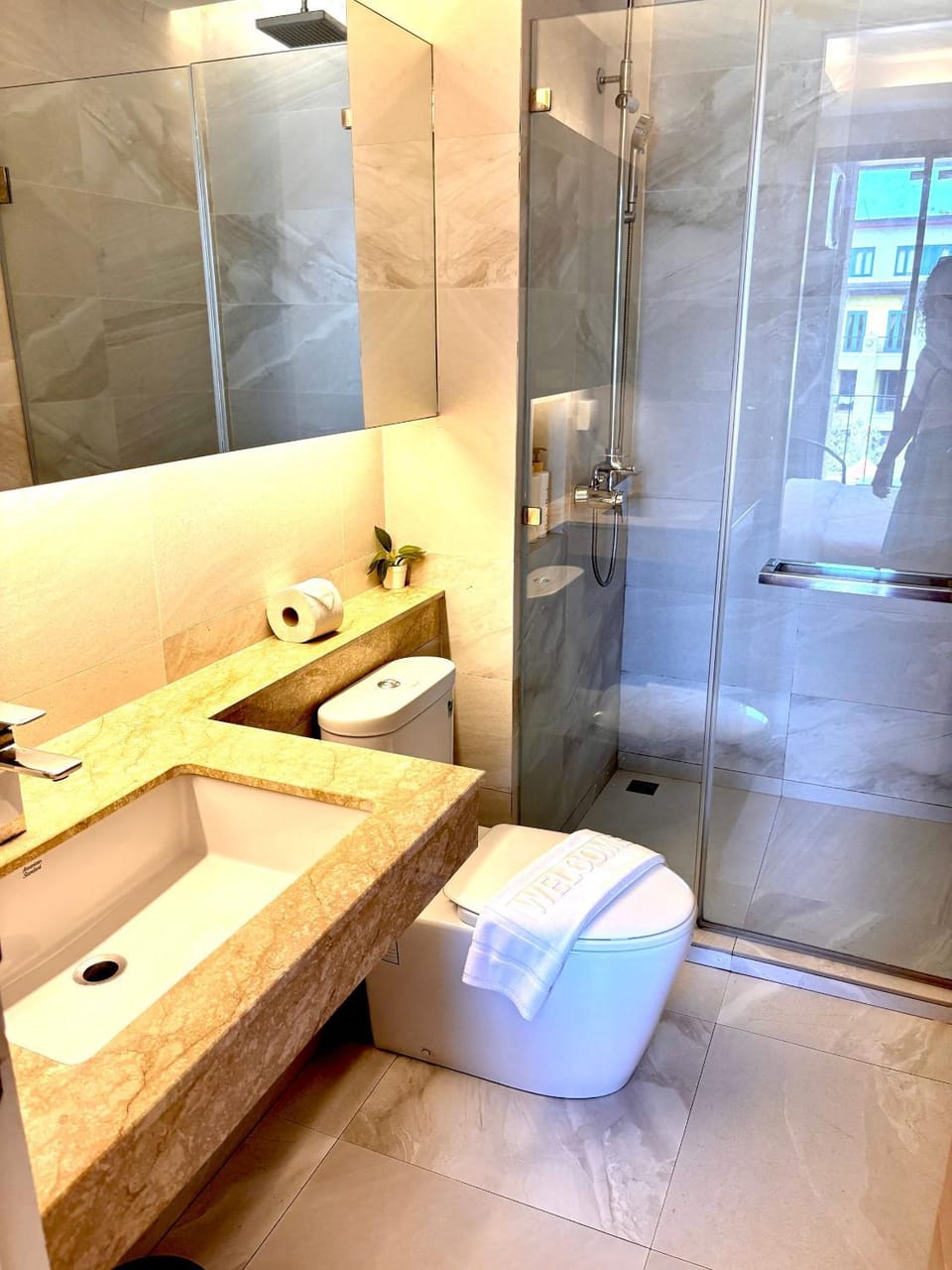 Toilet, Bathroom