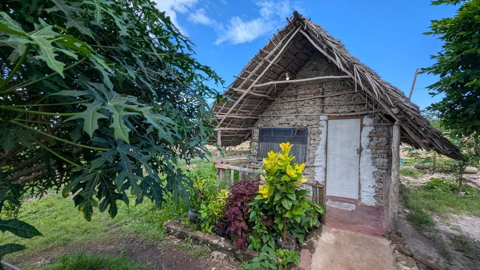 Garden, Garden view