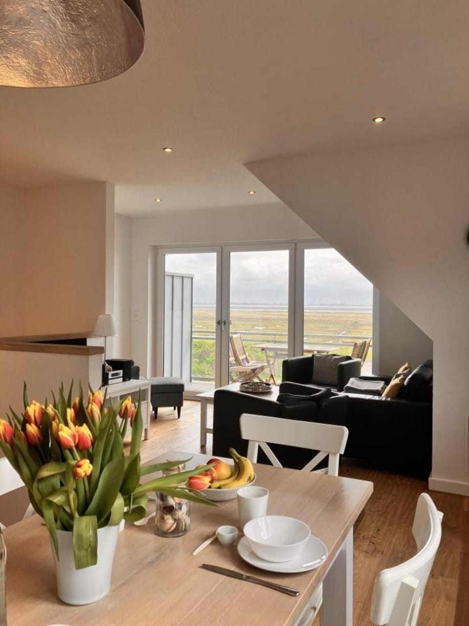 Sturmmöwe, Haus an den Salzwiesen, Baltrum Apartment in Lower Saxony, Germany