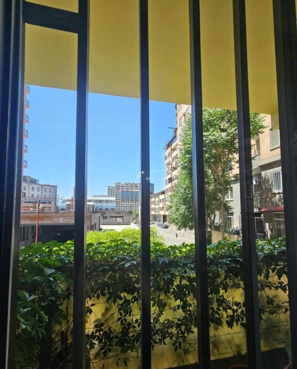 3 комн квартира на улице Пушкина Apartment in Yerevan