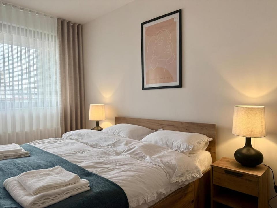 Central Comfort Luxe Apartment in Serbia