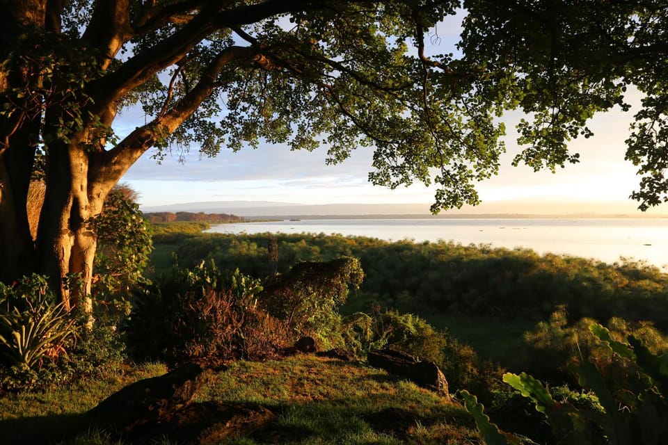 Natural landscape, Garden, Lake view