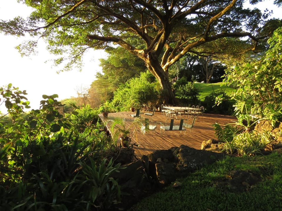 Garden view