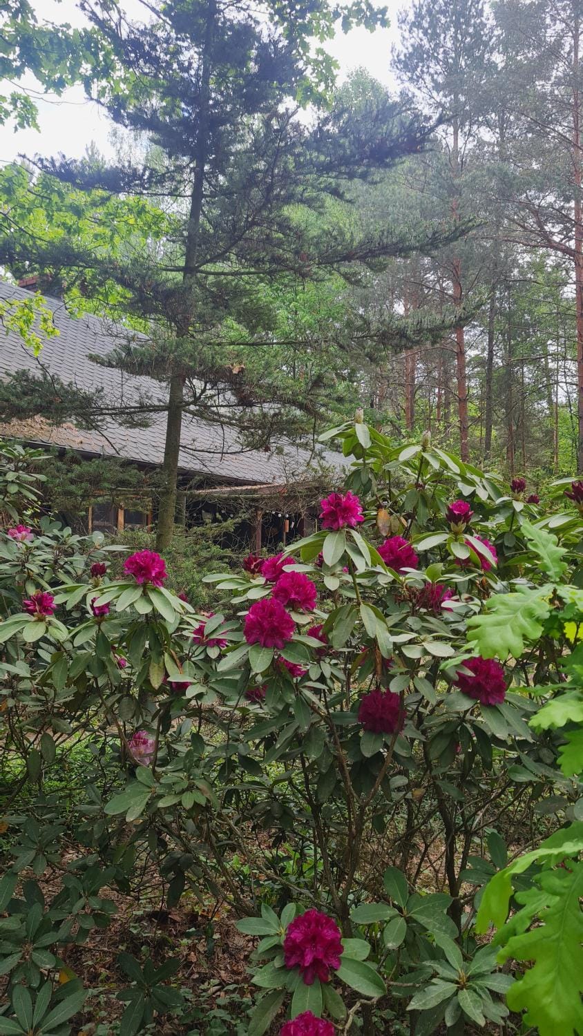 LEŚNE Zacisze Chalet in Masovian Voivodeship