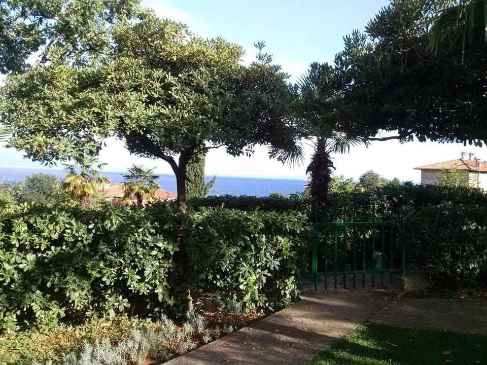 Garden, Sea view