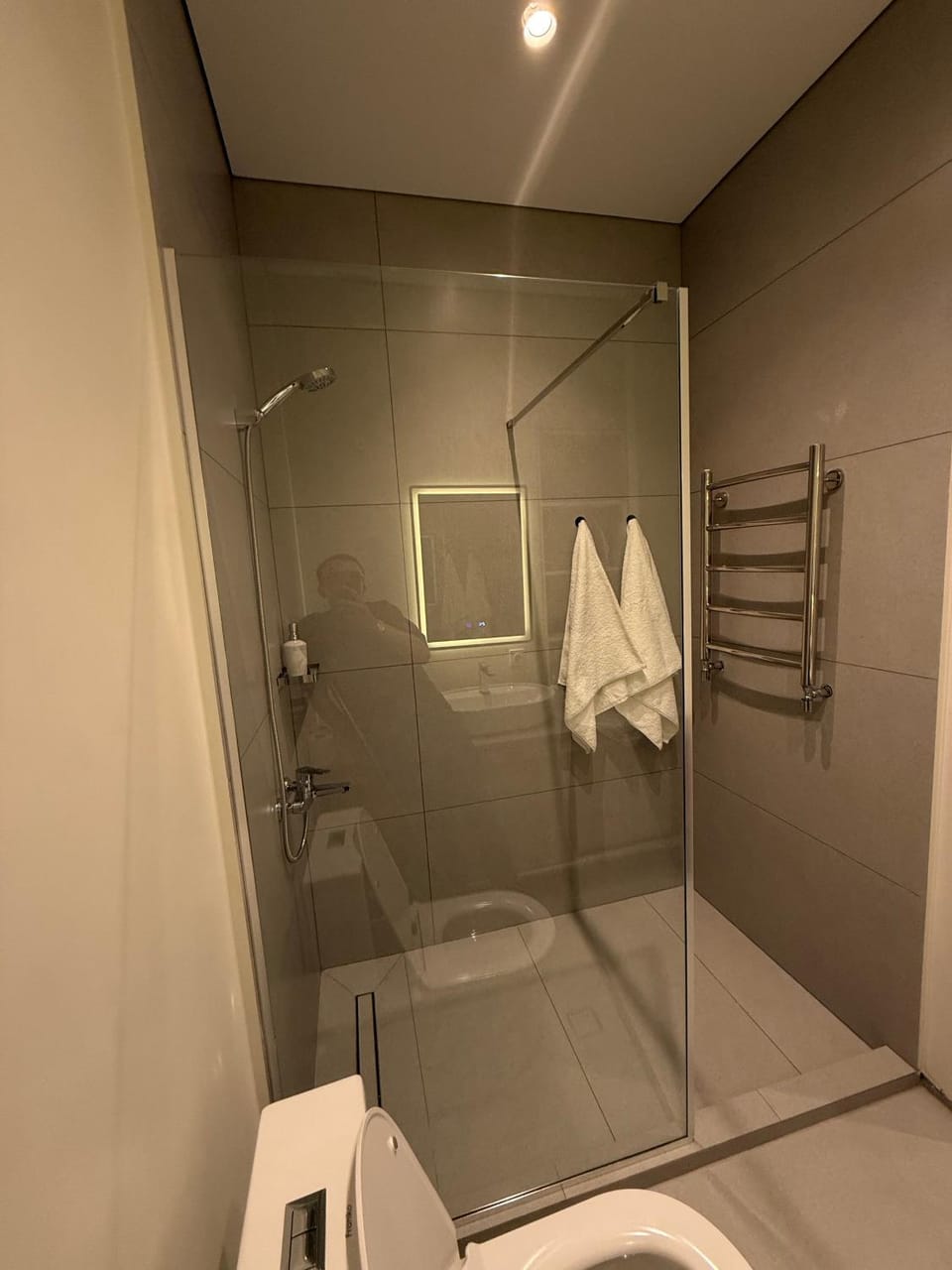 Shower, Toilet, towels
