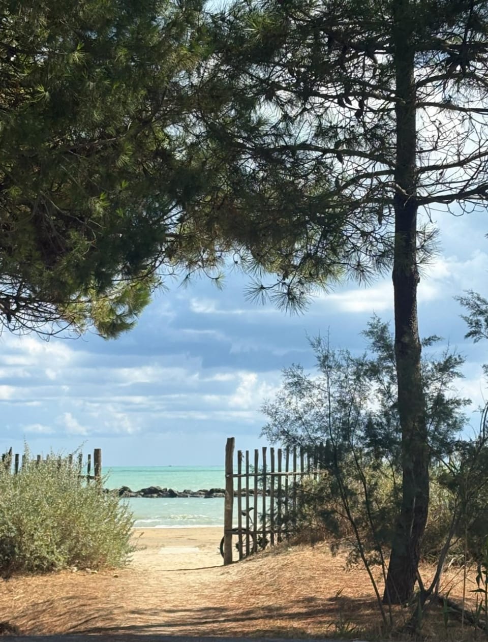 Stella azzurra Apartment in Francavilla al Mare