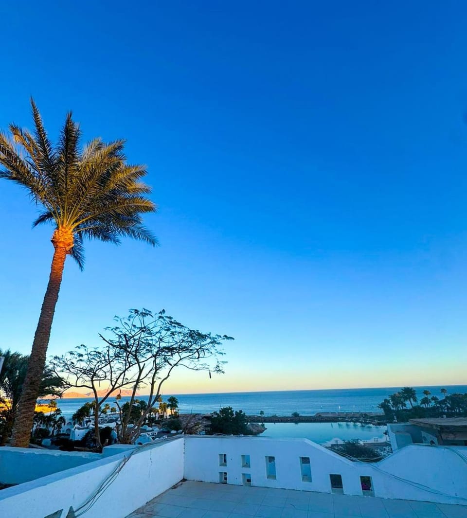 Domina Coral Bay, Sea View Apartment, Kitchen, Block 34 Apartment in Sharm El-Sheikh