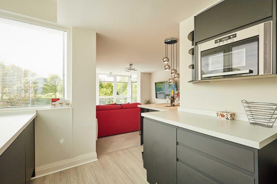 Kitchen or kitchenette, microwave