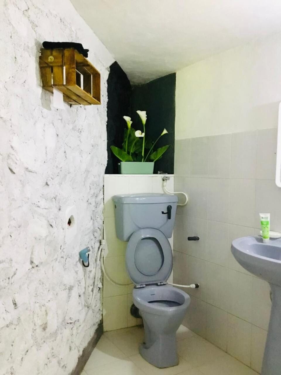 Summer Cottage - The Dew Villa in Central Province