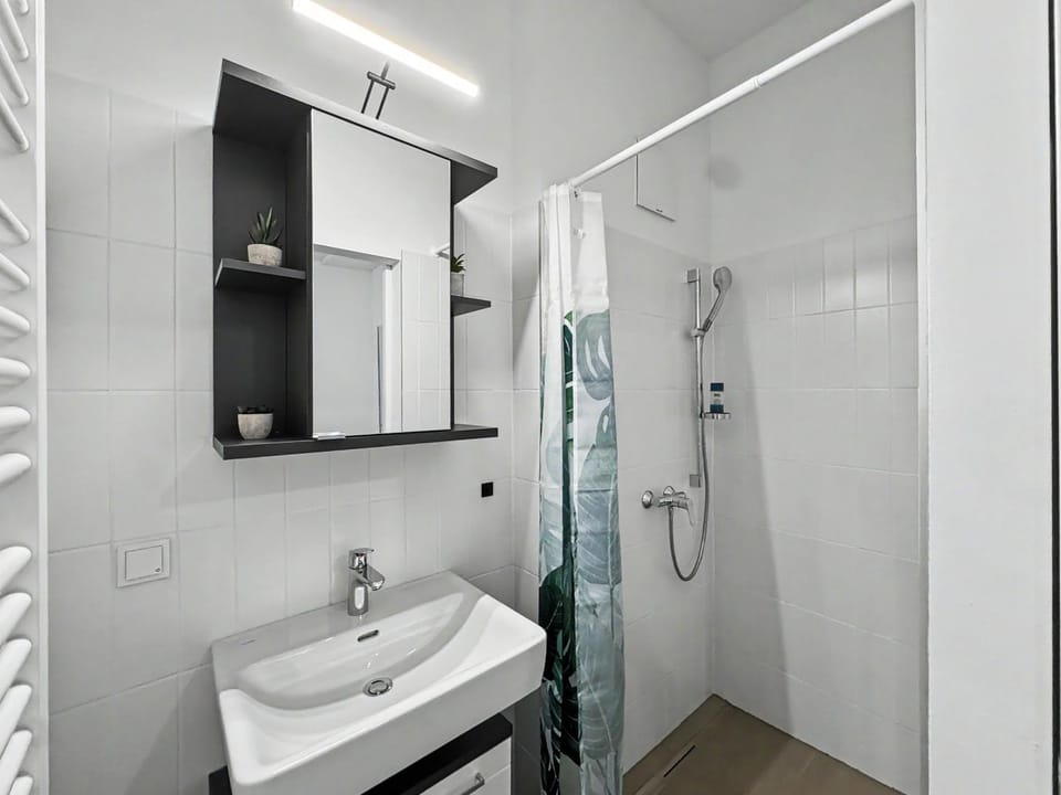 Shower, Toilet
