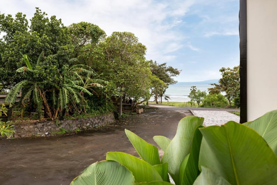 Day, Natural landscape, Garden, View (from property/room), Garden view, Sea view