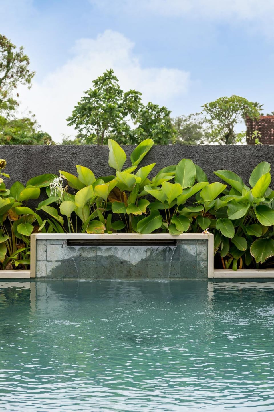 Property building, Day, Natural landscape, Garden, Garden view, Pool view, Swimming pool