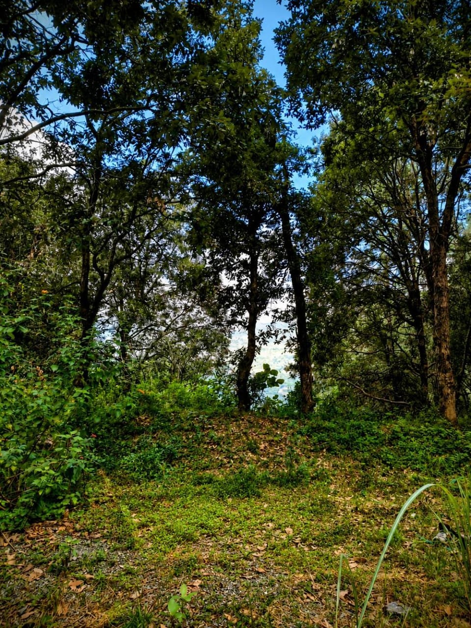 Natural landscape