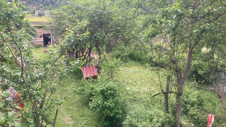 noras guesthauze 2026 Bed and Breakfast in Georgia