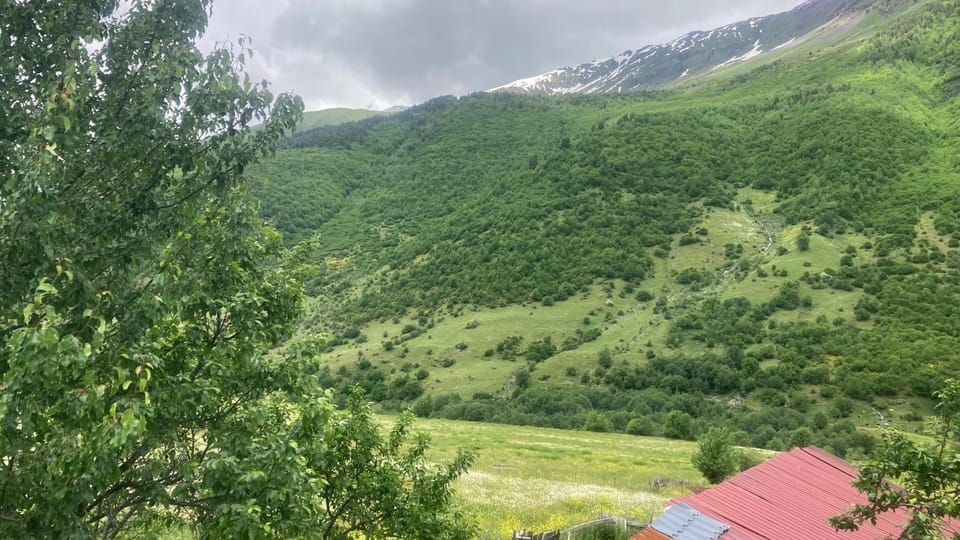 noras guesthauze 2026 Bed and Breakfast in Georgia