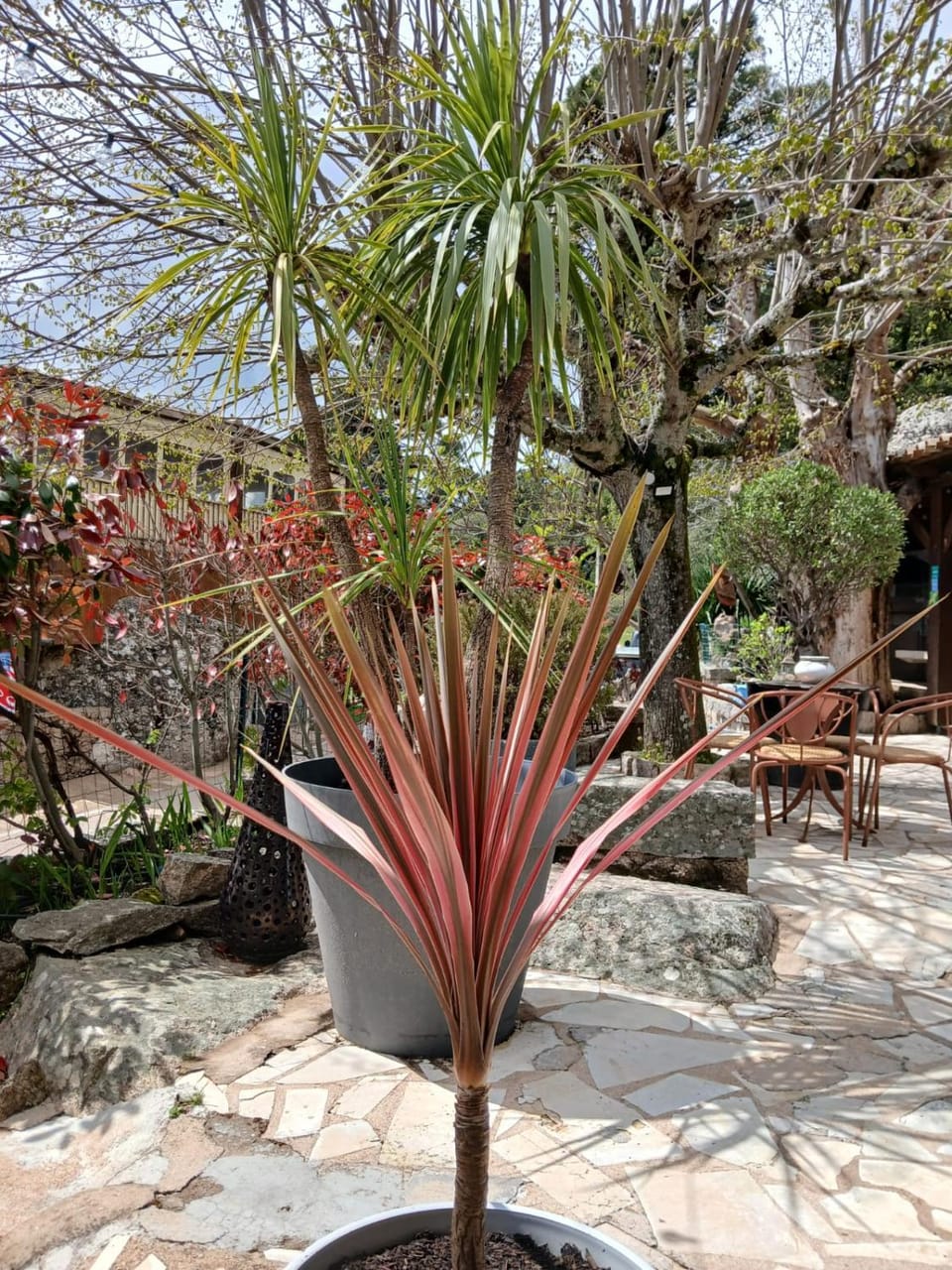 Chambre Mare a Mare Bed and Breakfast in Zonza