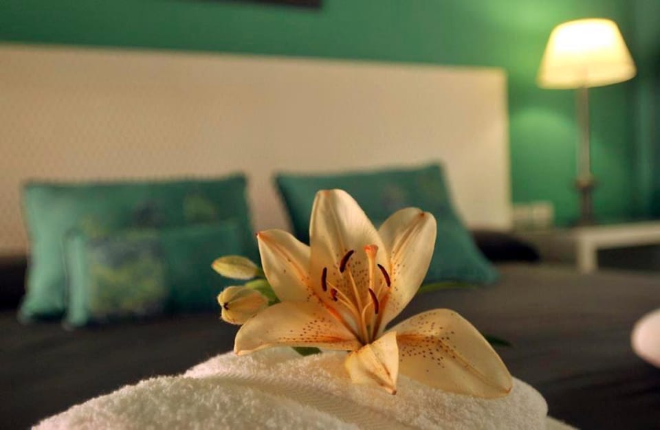 Hotel Spa Posada del Puerto Hotel in Gualeguaychú