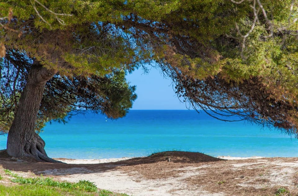 Natural landscape, Beach, Hiking, Sea view