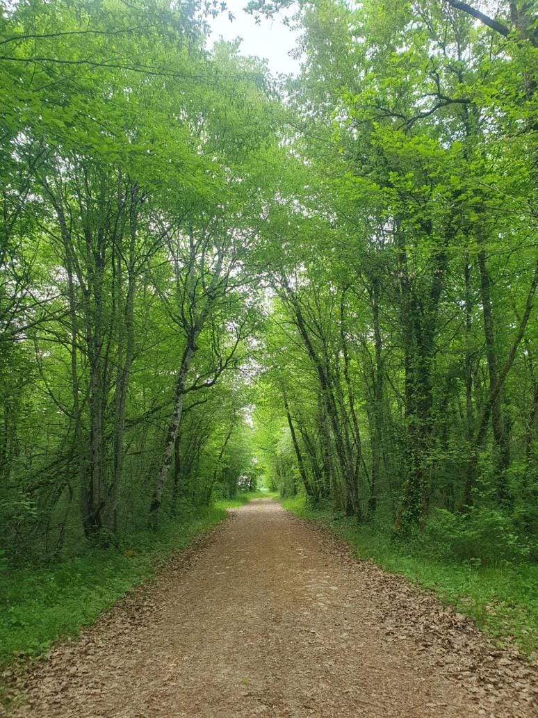 Hiking