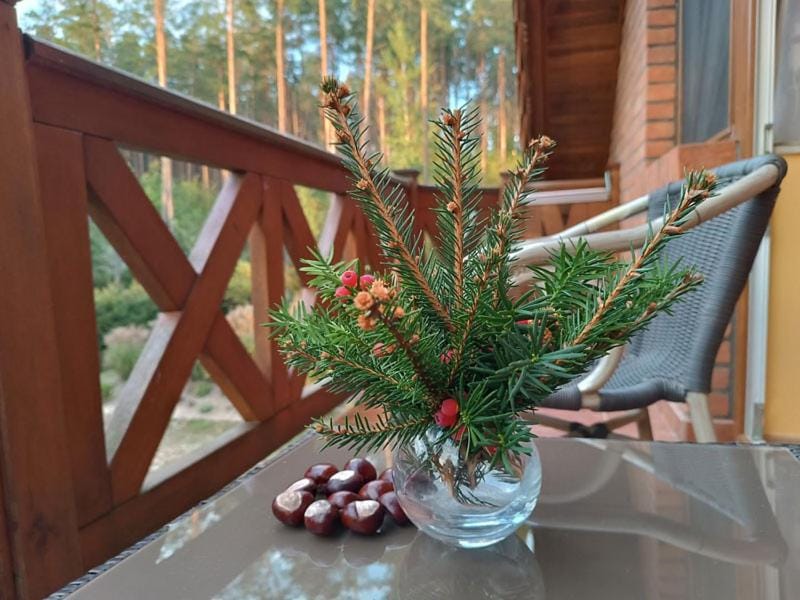 Day, Balcony/Terrace, Garden view
