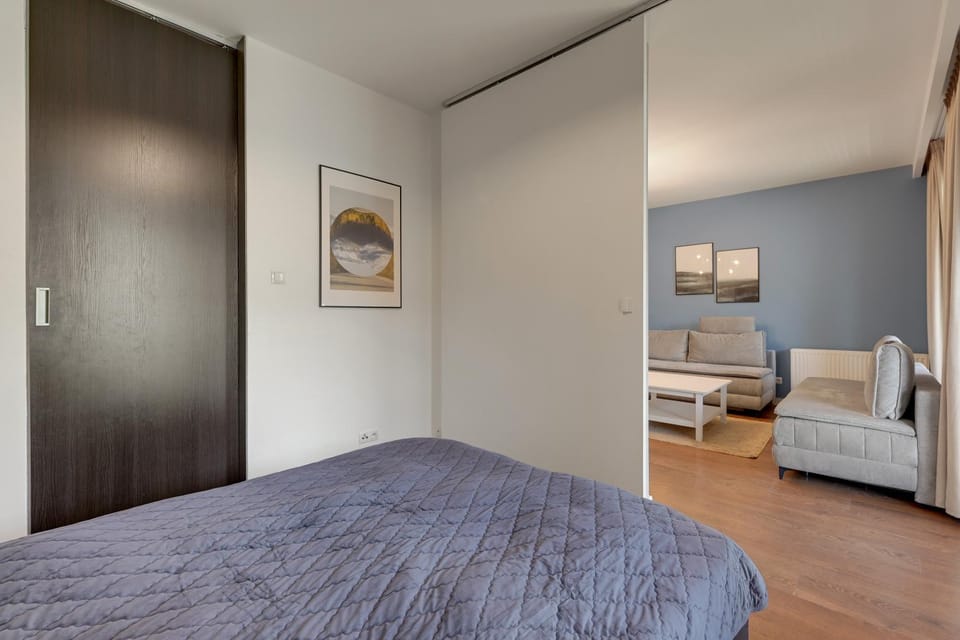 Bed, Living room, Photo of the whole room, Seating area, Bedroom