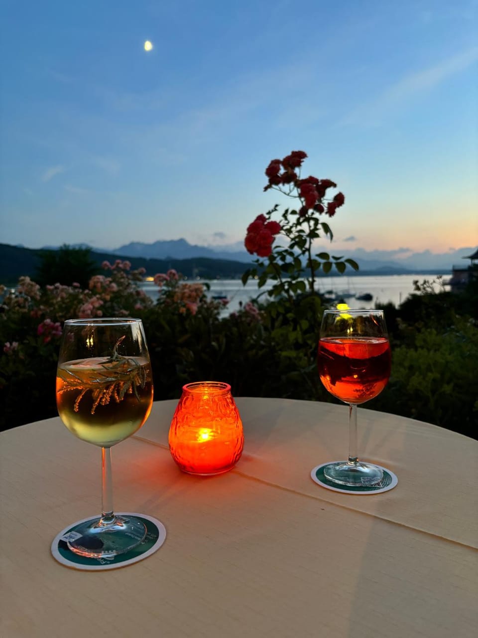 View (from property/room), Balcony/Terrace, Drinks