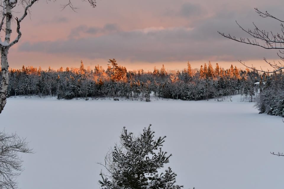 Natural landscape