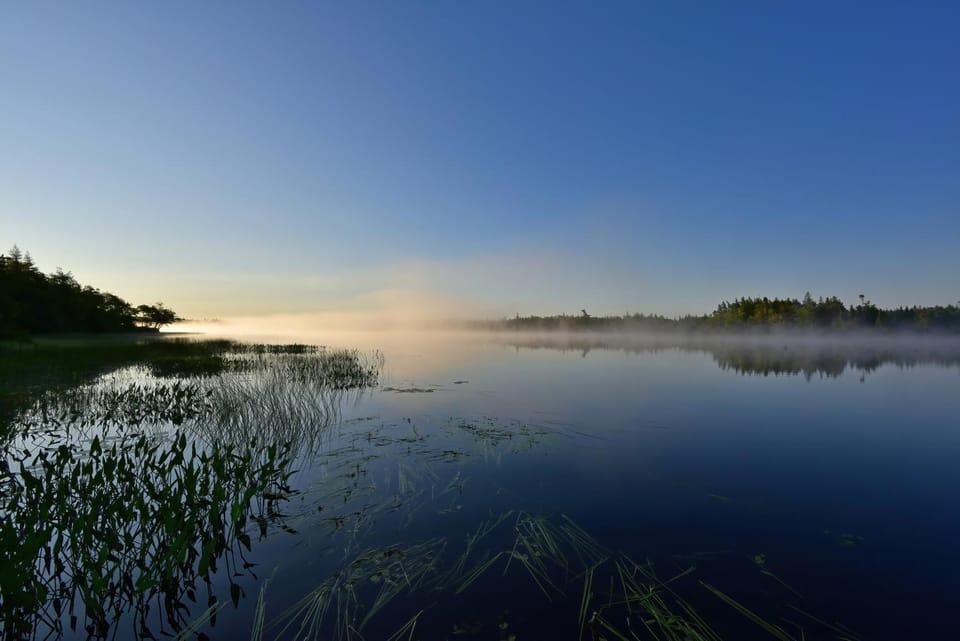 Sunrise
