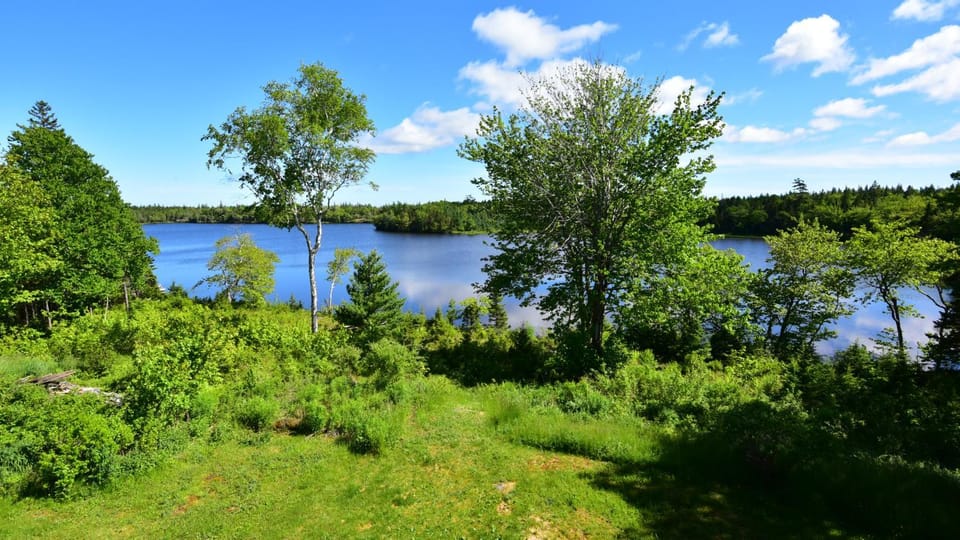 Natural landscape