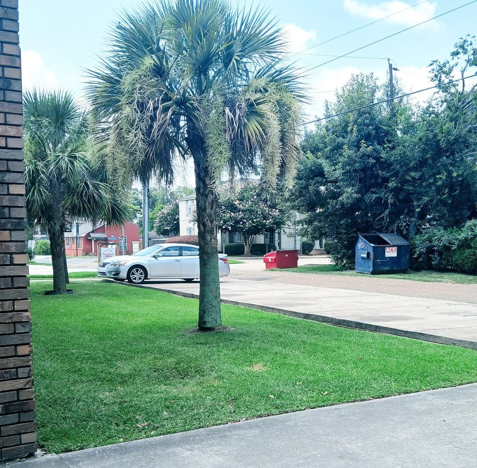 Quaint Quiet Boutique Style 2 Bdrm Apt in Heart of Mid City Apartment in Baton Rouge