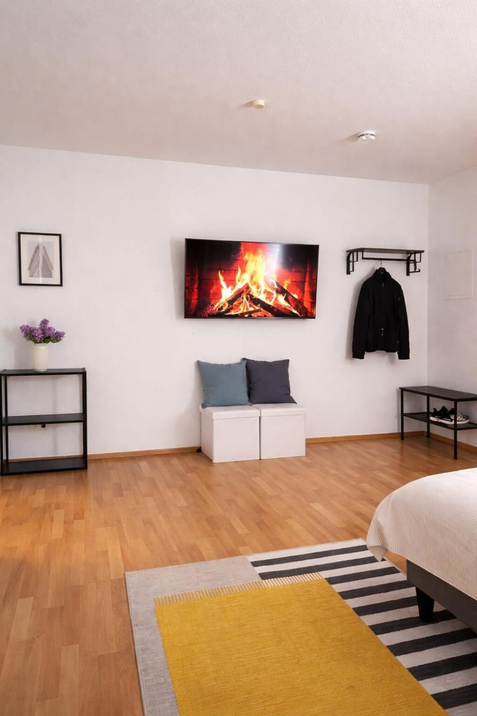 TV and multimedia