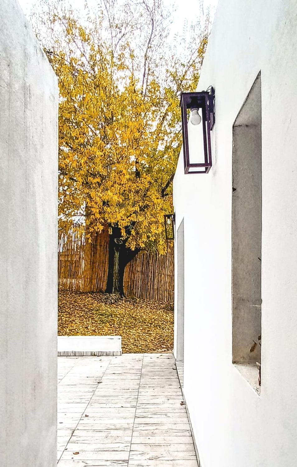 Patio, Garden