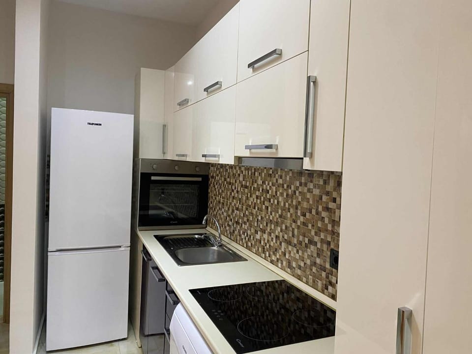 Kitchen or kitchenette, dishwasher, minibar, oven, stove
