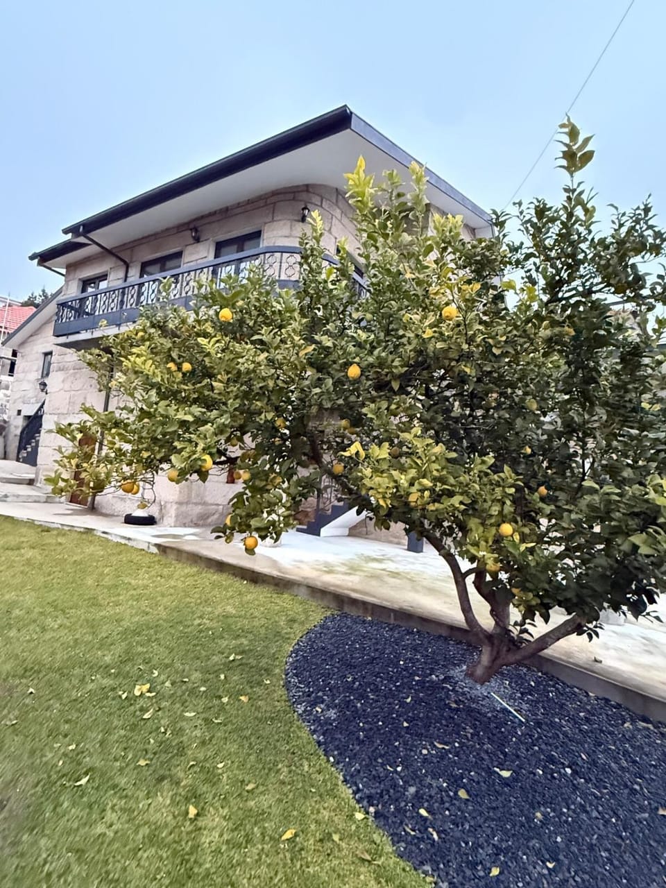 Property building, Day, Garden