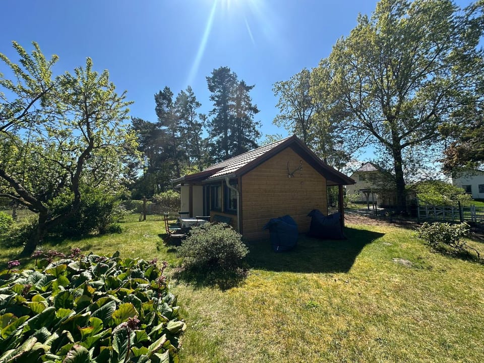 Property building, Garden, Garden view