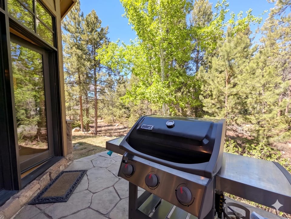 Patio, Day, Natural landscape, BBQ facilities