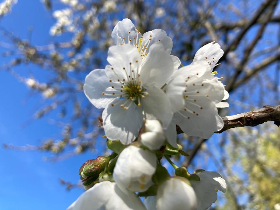 Maison Mama Neko Bed and Breakfast in Brittany