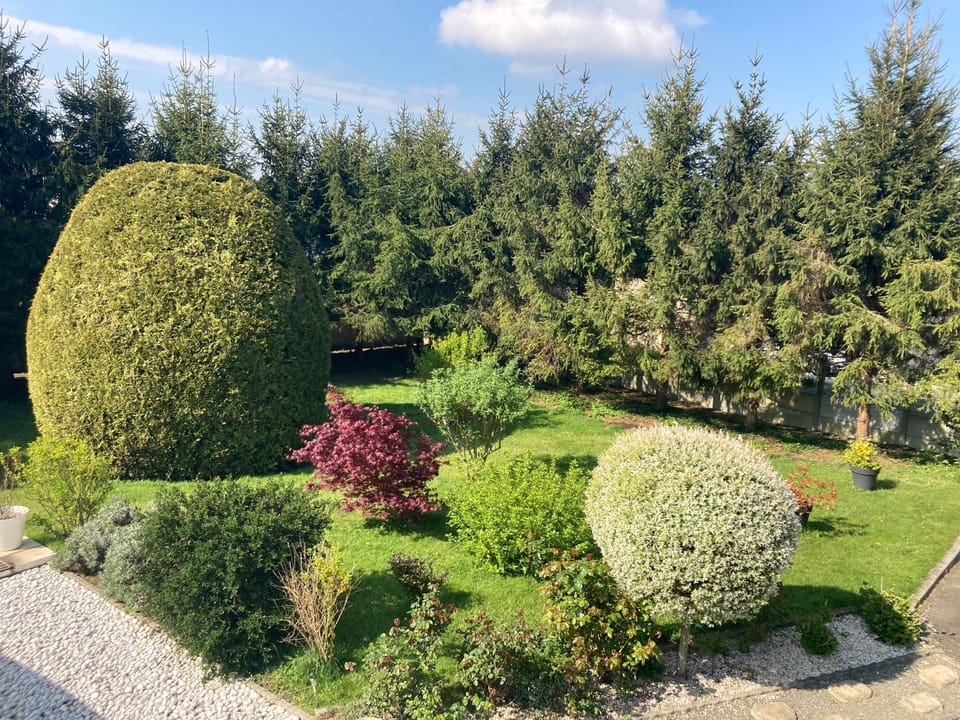 Maison Mama Neko Bed and Breakfast in Brittany