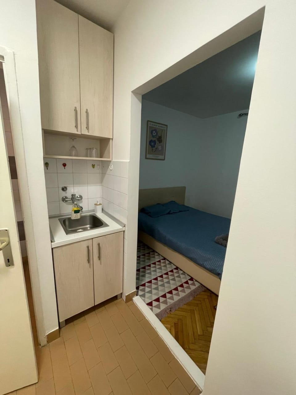 Apartman Sofi Apartment in Vojvodina