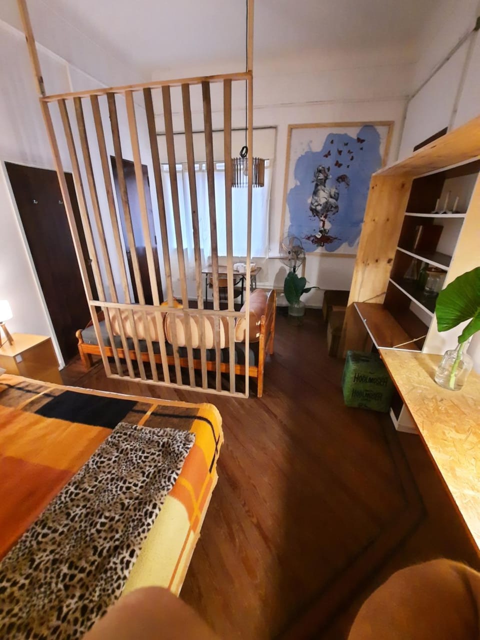 Photo of the whole room
